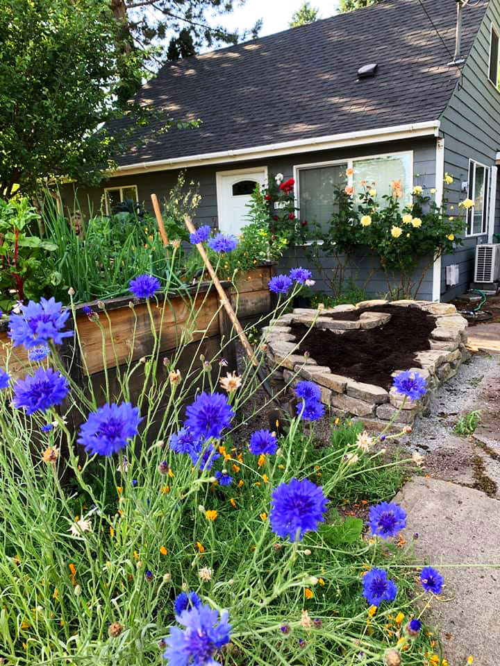pdxfarm heart-shaped raised bed and blue flowers